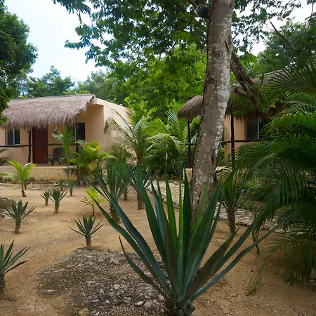 Casa De Las Tortugas I Tour Akumal