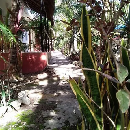 Casa De Las Tortugas I Tour Akumal