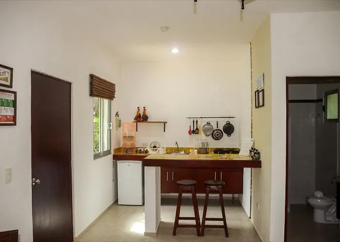 Casa De Tortugas I Tour Akumal Xetna