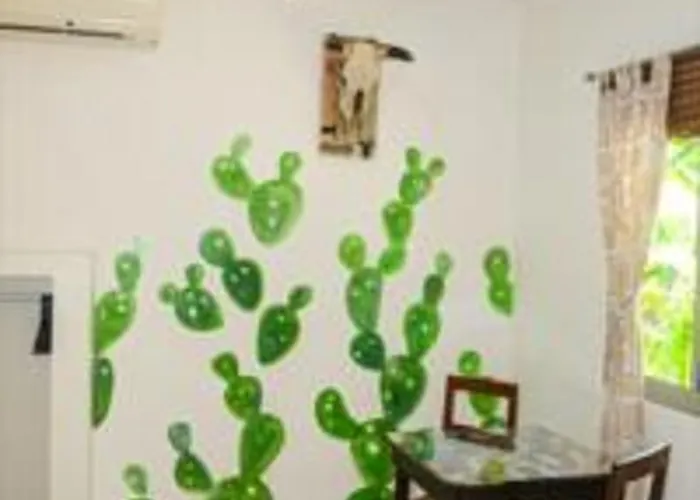 Casa De Tortugas I Tour Akumal