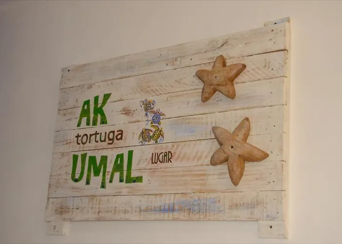 Casa De Tortugas I Tour Akumal Xetna