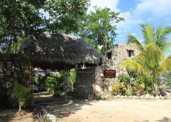 Hotel Casa De Tortugas I Tour Akumal