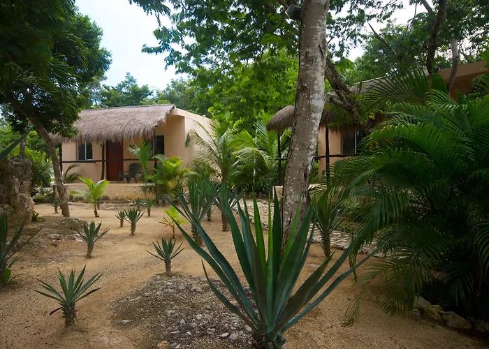 Casa De Tortugas I Tour Akumal Hotel