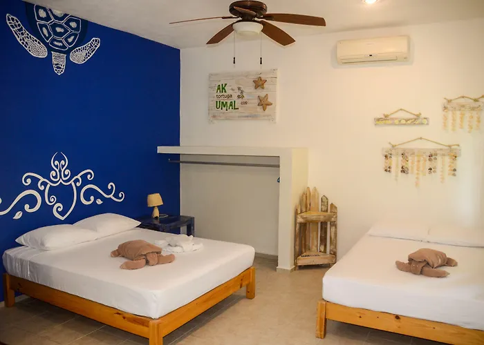 Hotel Casa De Tortugas I Tour Akumal Xetna