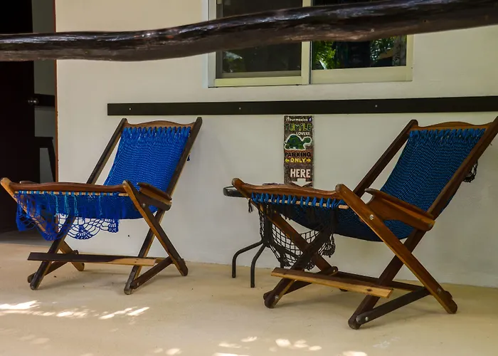 Casa De Tortugas I Tour Akumal Hotel