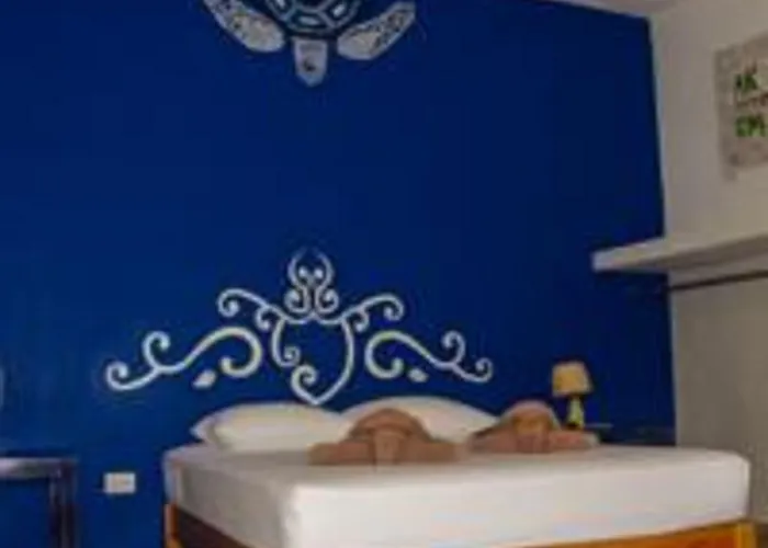Hotel Casa De Tortugas I Tour Akumal