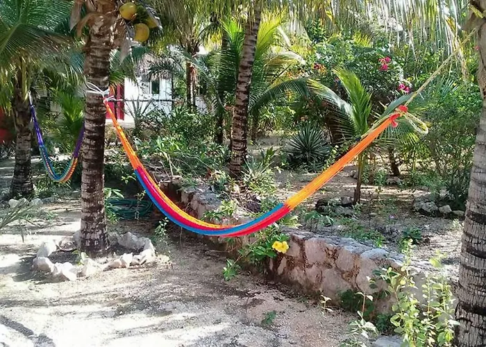 Hotel Casa De Tortugas I Tour Akumal Xetna