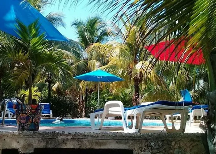 Casa De Tortugas I Tour Akumal