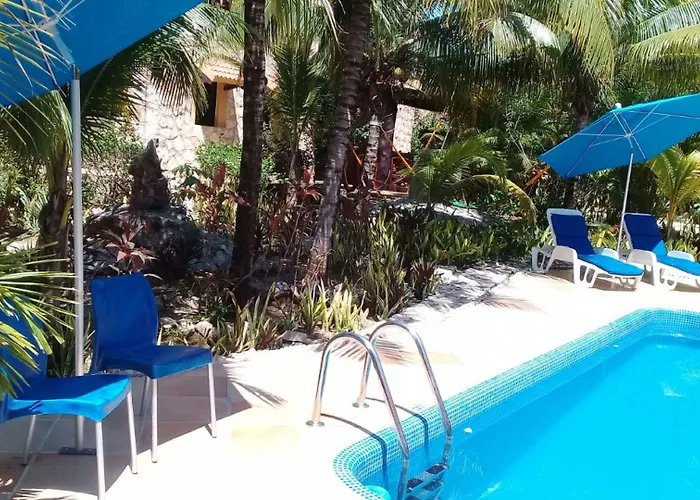 Casa De Tortugas I Tour Akumal Hotel Xetna