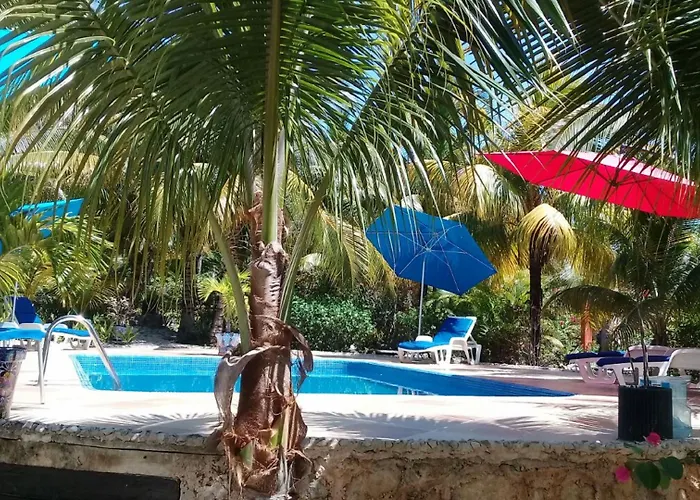 Hotel Casa De Tortugas I Tour Akumal Xetna