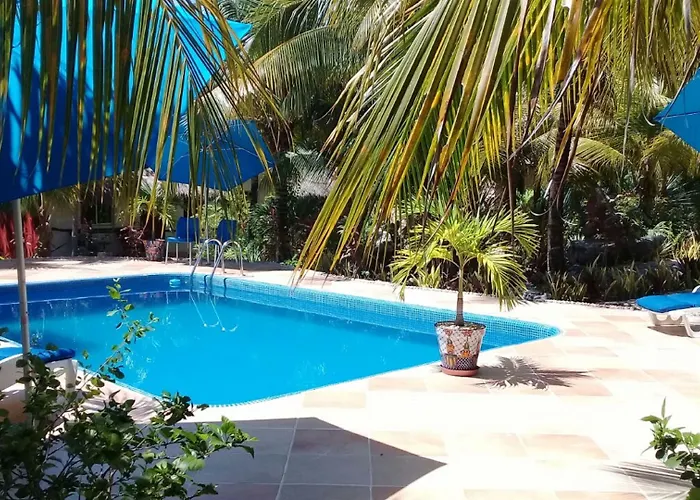 Casa De Tortugas I Tour Akumal