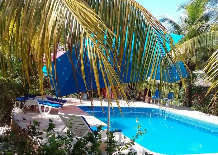 Casa De Tortugas I Tour Akumal Hotel Xetna