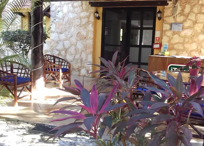 Casa De Tortugas I Tour Akumal Hotel