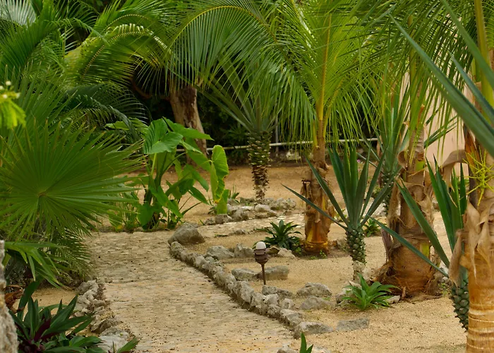 Hotel Casa De Tortugas I Tour Akumal