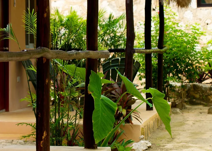 Casa De Tortugas I Tour Akumal