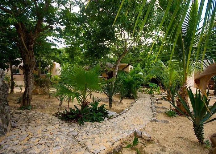 Casa De Tortugas I Tour Akumal Hotel