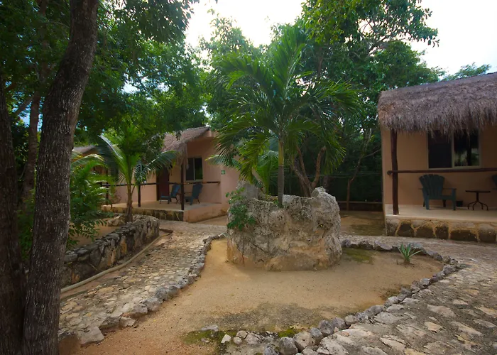 Casa De Tortugas I Tour Akumal Hotel