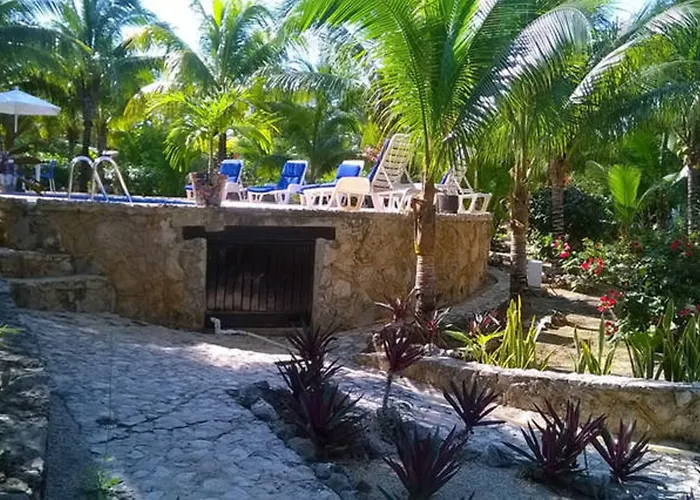 Casa De Tortugas I Tour Akumal