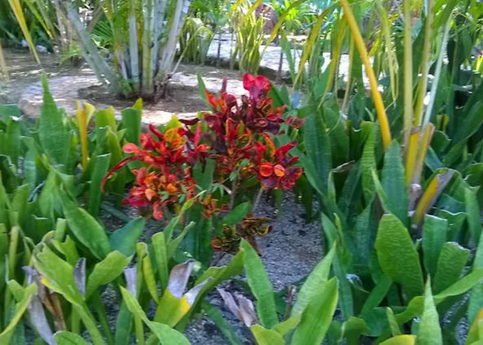 Casa De Tortugas I Tour Akumal Hotel Xetna