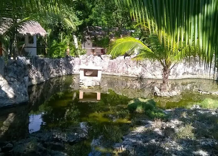 Hotel Casa De Tortugas I Tour Akumal 2*