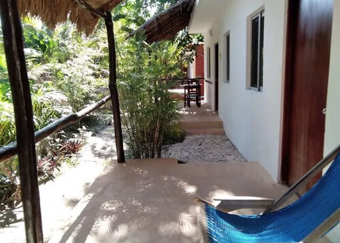 Casa De Tortugas I Tour Akumal 2* Xetna