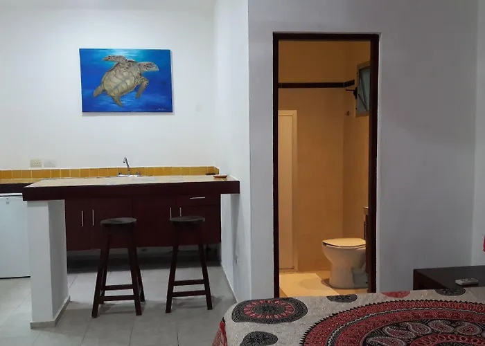 Casa De Tortugas I Tour Akumal Xetna