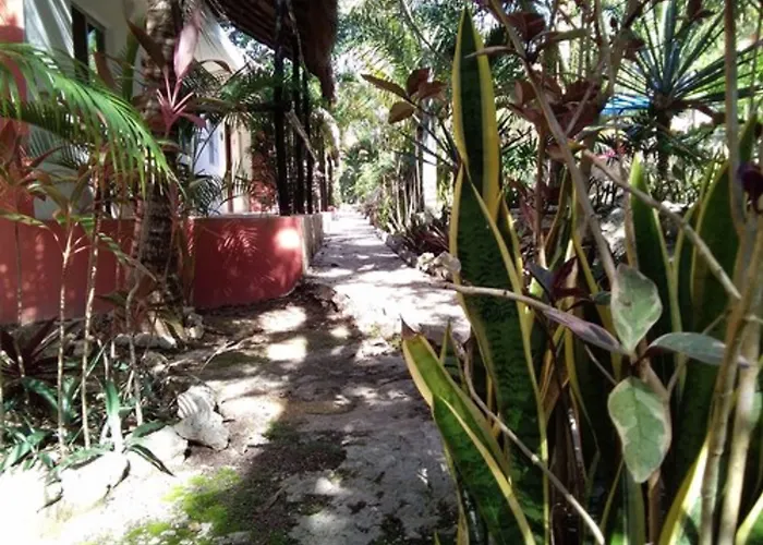 Casa De Tortugas I Tour Akumal 2*