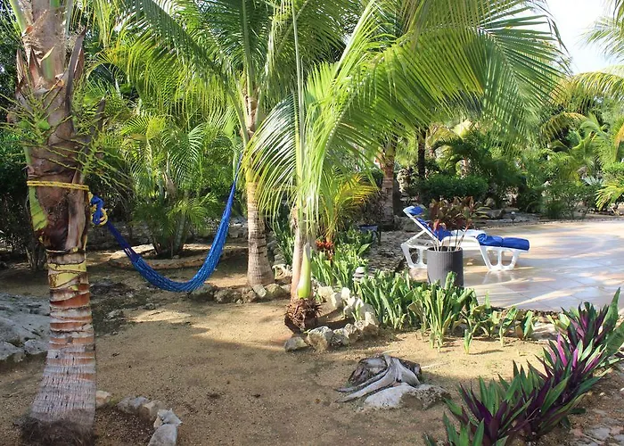 Casa De Tortugas I Tour Akumal