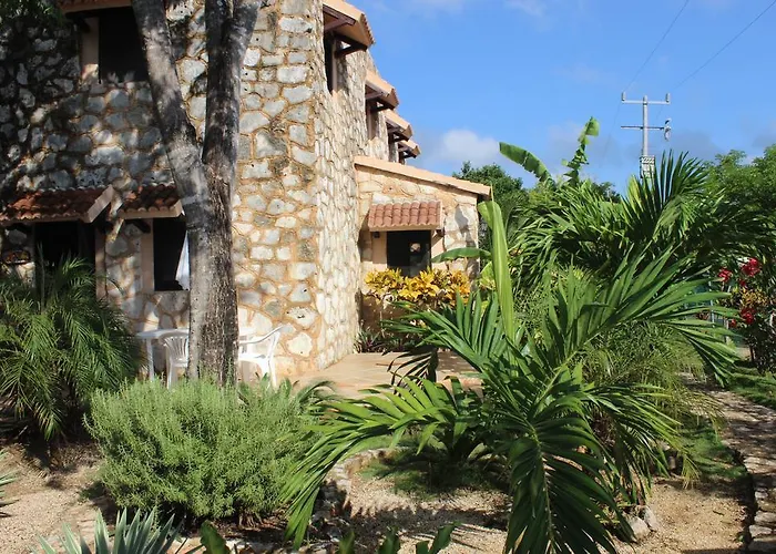 Casa De Tortugas I Tour Akumal Hotel