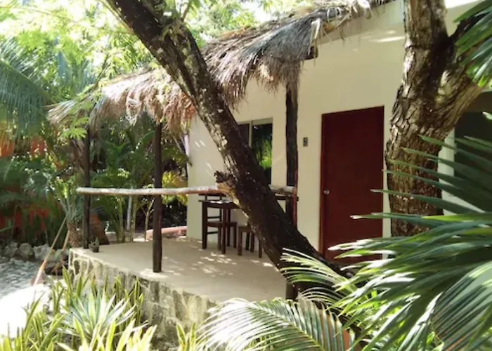 Hotel Casa De Tortugas I Tour Akumal Xetna