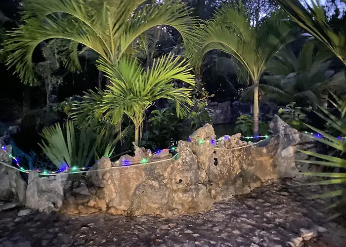 Hotel Casa De Tortugas I Tour Akumal