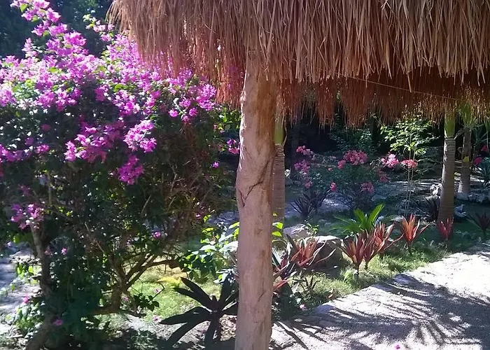 Casa De Tortugas I Tour Akumal
