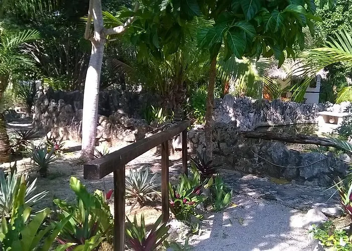 Casa De Tortugas I Tour Akumal Xetna