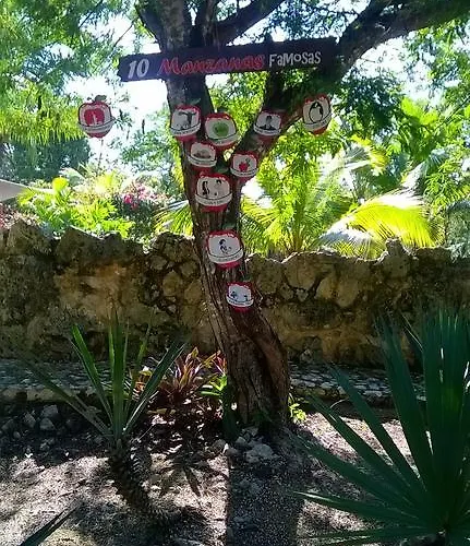 Casa De Tortugas I Tour Akumal 2* Xetna
