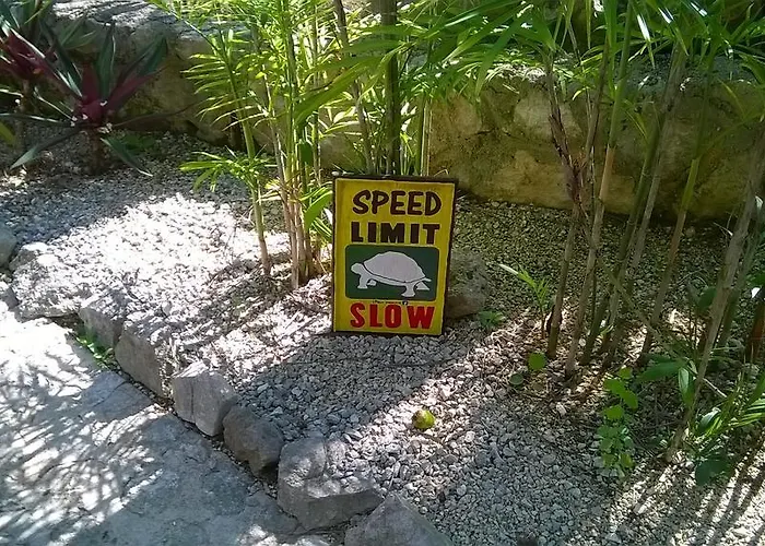 Casa De Tortugas I Tour Akumal Xetna