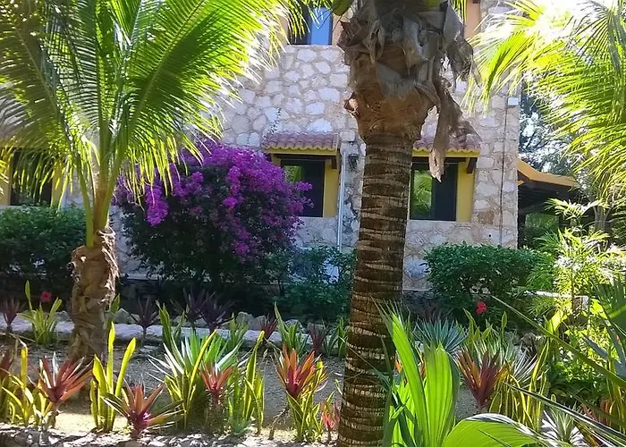 Casa De Tortugas I Tour Akumal Hotel