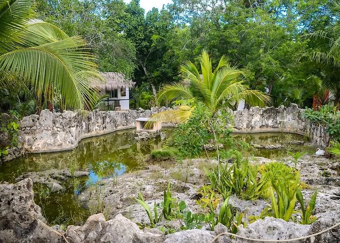 Casa De Tortugas I Tour Akumal 2*