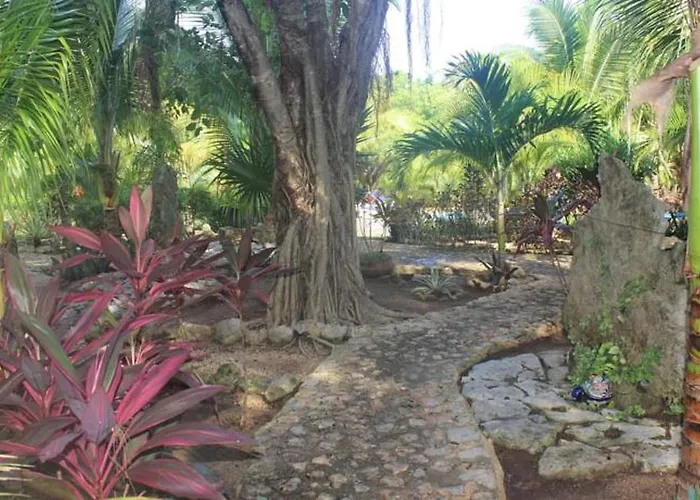 Hotel Casa De Tortugas I Tour Akumal