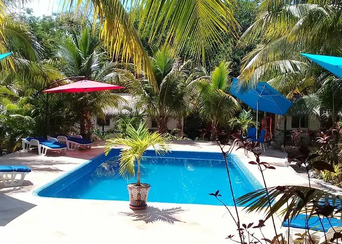 Casa De Tortugas I Tour Akumal Xetna